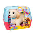 Little Live Pets Ouchies - Cooper The Retriever Puppy|Transform from Injured to Healed Like a Vet. Make a Real Cast. Walking Puppy with Carrier (35cm/13.8in Tall). Repeat Play. 50+ Sounds & Reactions 🍁 All In One Marketplace Canada