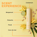 Design.Me BOUNCE.ME Curling Gel Spray | Frizz-Free Curl Defining Gel - Refresh Curls, Waves, Coils | Non-Crunchy, Non-Sticky Formula - Climate Control Styling, 7.77Oz 🍁 All In One Marketplace Canada