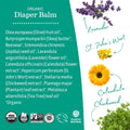 Earth Mama Organic Baby Diaper Balm, 120ml 🍁 All In One Marketplace Canada