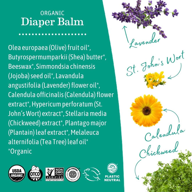 Earth Mama Organic Baby Diaper Balm, 120ml 🍁 All In One Marketplace Canada