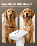 oneisall Dog Grooming Vacuum Kit: 15000Pa Shedding Brush with Grooming Tools, 3 Suction Low Noise, for Pet Thick and Undercoat, 1.5L Dust Cup, Dog Hair Vacuum, Home Cleaning, LM5 🍁 All In One Marketplace Canada