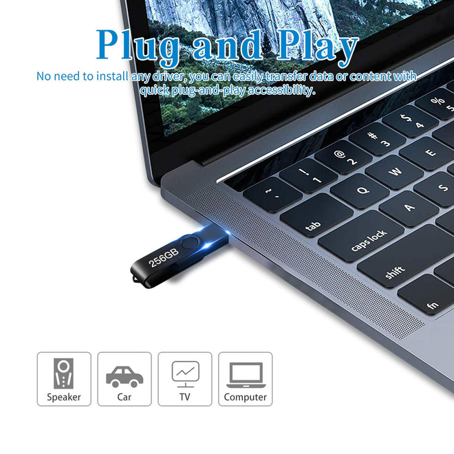 USB Flash Drive 256GB, Portable Thumb Drive: Memory Stick, Large Capacity USB Drive with Keychain, High-Speed USB 2.0 Data Storage Flash Drive for PC/Laptop 🍁 All In One Marketplace Canada