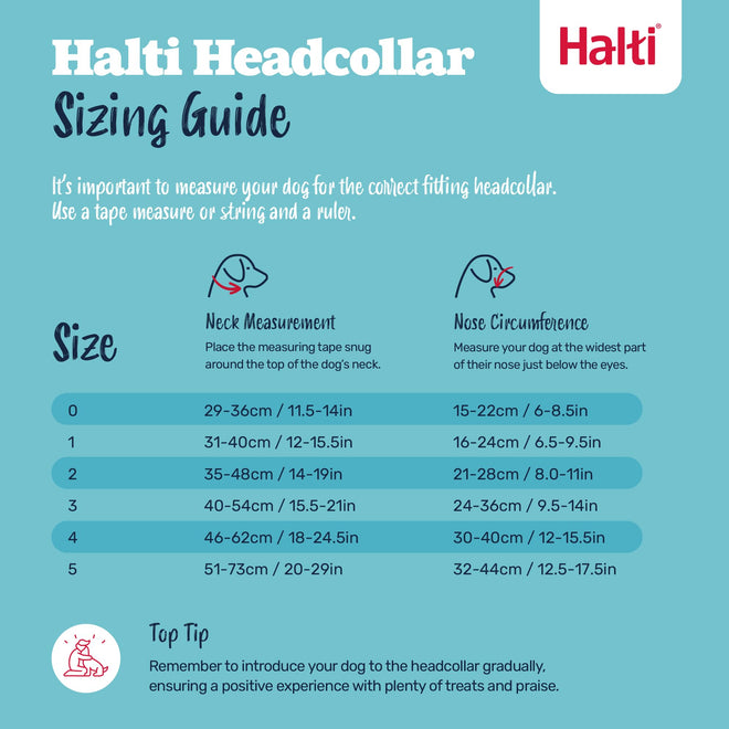 Halti Headcollar - Stop Your Dog Pulling on the Leash. Adjustable, Reflective and Lightweight, with Padded Nose Band. Dog Training Anti-Pull Collar for Medium Dogs (Size 3, Black) 🍁 All In One Marketplace Canada