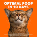 IAMS Proactive Health Senior Dry Cat Food, Chicken Flavour, 3.18kg 🍁 All In One Marketplace Canada