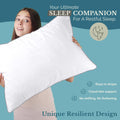 Casa Platino Bed Pillows Standard Size 4 Pack (20x26) - Down Alternative Sleeping Pillows, Hotel Quality, Hypoallergenic & Supportive for Side & Back Sleepers 🍁 All In One Marketplace Canada