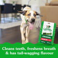 GREENIES Dog Treats Original Regular Natural Dental Care, (36 Treats) 36 oz. Pack 🍁 All In One Marketplace Canada