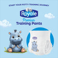 Royale Premium Training Pants, Size Medium, 2T-3T (Up to 34 lbs), 111 Count, Disposable Training Pants (Packaging may vary) 🍁 All In One Marketplace Canada