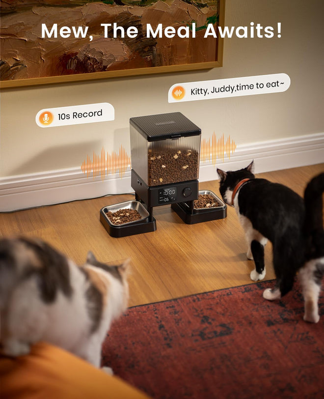 oneisall Automatic Cat Feeder for 2 Cats, 20 Cups/5L Automatic Cat Food Dispenser for Small Pets Indoor, Timed Cat Feeder for Dry Food 🍁 All In One Marketplace Canada