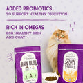 Stella & Chewy’s Raw Coated Premium Kibble Cat Food – Grain Free, Protein Rich Meals – Cage-Free Chicken Recipe – 1.13 kilograms 🍁 All In One Marketplace Canada