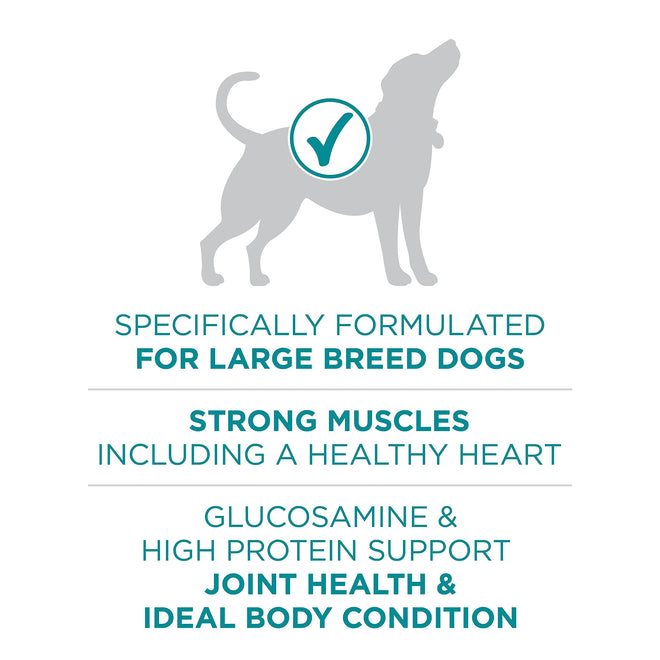 Purina ONE Dry Dog Food, +Plus Large Breed with Chicken - 7 kg Bag (1 Pack) 🍁 All In One Marketplace Canada