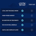 Celtic Sea Salt, Fine Ground, 16 Ounce 🍁 All In One Marketplace Canada