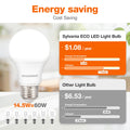 Sylvania ECO LED Light Bulb, A19, 100W Equivalent, Efficient 14.5W, 7 Year, 1450 Lumens, Frosted, 5000K, Daylight - 6 Pack (40884) 🍁 All In One Marketplace Canada
