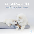 Benebone Puppy 2-Pack Dental Chew/Wishbone Dog Chew Toys, Real Bacon 🍁 All In One Marketplace Canada