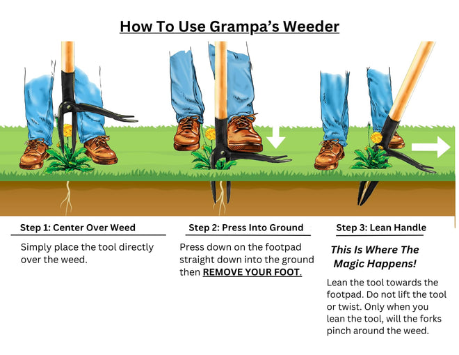 Grampa's Weeder - The Original Stand Up Weed Puller - Made with Real Bamboo & Steel Head Design - Easily Remove Weeds While Saving Your Knees & Back 🍁 All In One Marketplace Canada
