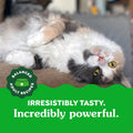 GREENIES Feline Cat Treats Natural Dental Care, Oven Roasted Chicken Flavour, 21oz. Tub 🍁 All In One Marketplace Canada