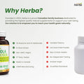 Herba Rhodiola Rosea Supplement 200mg - 90 Capsules | 6:1 Extract | Rhodiola Supplement with Min 3% Rosavins and 1% Salidrosides | Help Relieve Symptoms of Stress | Made in Canada 🍁 All In One Marketplace Canada