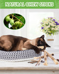 TINDTOP Silvervine Sticks for Cats, 10 Pack Natural Catnip Chew Toys for Kittens Teeth Cleaning, Matatabi Dental Care, Increase Appetite, Calm Cat Anxiety and Stress, Aggressive Chewers Cat Dental Toy 🍁 All In One Marketplace Canada