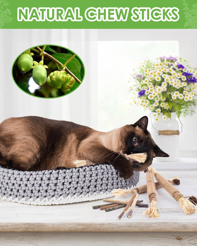 TINDTOP Silvervine Sticks for Cats, 10 Pack Natural Catnip Chew Toys for Kittens Teeth Cleaning, Matatabi Dental Care, Increase Appetite, Calm Cat Anxiety and Stress, Aggressive Chewers Cat Dental Toy 🍁 All In One Marketplace Canada