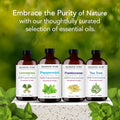 Majestic Pure Peppermint Essential Oil - Huge 118 ml - 100% Pure and Natural Oil for Soap Making Scent- Premium Grade with Glass Dropper 🍁 All In One Marketplace Canada