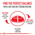 Royal Canin Feline Health Nutrition Dry Indoor Cat Food, Supports Healthy Weight, Digestive Health and Hairball Management, 3 lb Bag 🍁 All In One Marketplace Canada