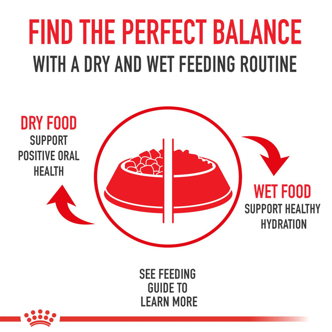 Royal Canin Feline Health Nutrition Dry Indoor Cat Food, Supports Healthy Weight, Digestive Health and Hairball Management, 3 lb Bag 🍁 All In One Marketplace Canada