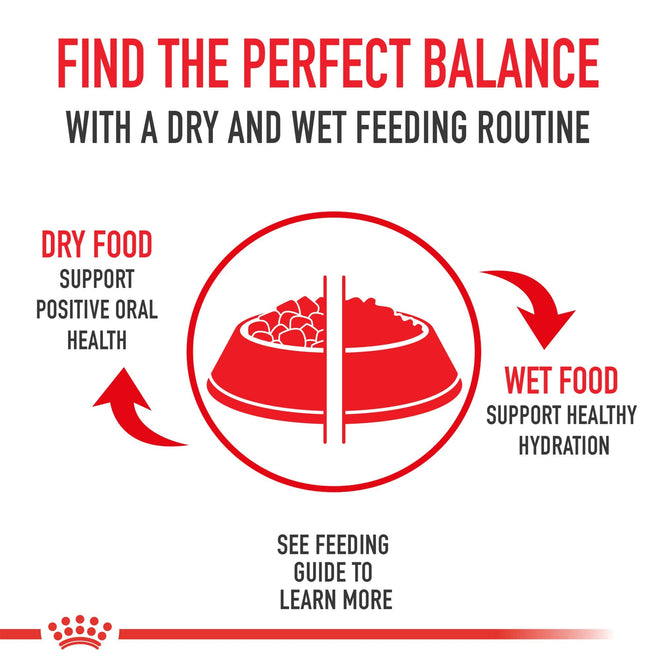 Royal Canin Adult Cat Sensitive Digestion Dry Adult Cat Food, 3.5 lb Bag 🍁 All In One Marketplace Canada