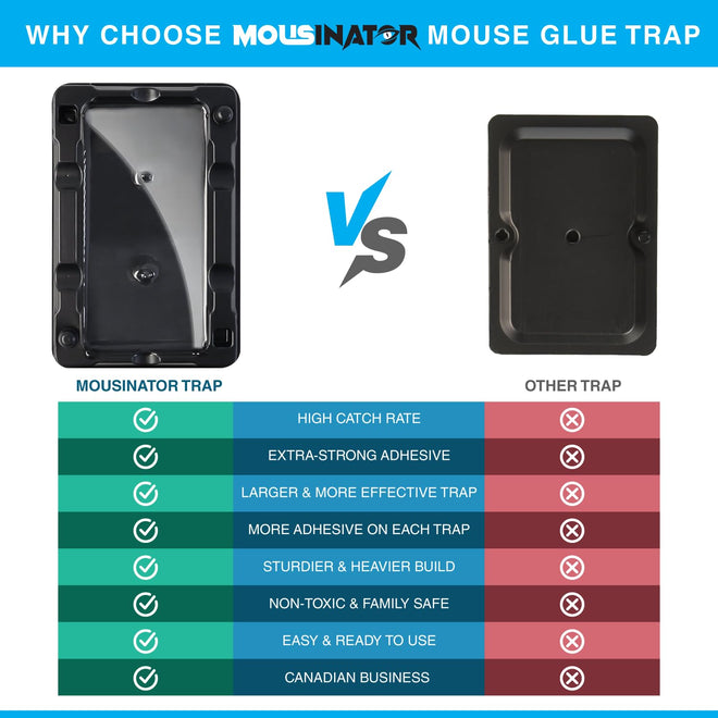 MOUSINATOR Mouse Glue Traps, 12-Pack, Heavier Plastic Glue Trap with Extra-Strong Adhesive for Small Mice, Sticky Mouse Trap for Indoor, Easy & Ready-to-Use 🍁 All In One Marketplace Canada