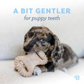 Benebone Puppy 2-Pack Dental Chew/Wishbone Dog Chew Toys, Real Bacon 🍁 All In One Marketplace Canada
