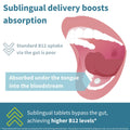 Igennus Sublingual Vitamin B12-Complex 1000mcg, Methylated B12, 180 Serving 🍁 All In One Marketplace Canada