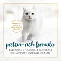 Fancy Feast Wet Cat Food, Pate Salmon & Shrimp Feast - 85 g Can (24 Pack) 🍁 All In One Marketplace Canada