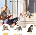 Cat Feather Toys, Cat Toys Wand, Interactive Cat Toy with Super Suction Cup, 2 PCS Cat Wand Toy and 6 PCS Feather Replacements with Bell, Interactive Cat Toy Kitten Toys for Indoor Play Chase Exercise (Natural) 🍁 All In One Marketplace Canada