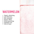 BioSteel Electrolyte Hydration Mix, Watermelon, 45 Servings 🍁 All In One Marketplace Canada