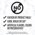 Nutro Natural Choice Adult Wet Dog Food, Chicken Flavour, 100 (12 Pack) 🍁 All In One Marketplace Canada