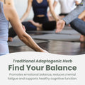 Herba Rhodiola Rosea Supplement 200mg - 90 Capsules | 6:1 Extract | Rhodiola Supplement with Min 3% Rosavins and 1% Salidrosides | Help Relieve Symptoms of Stress | Made in Canada 🍁 All In One Marketplace Canada