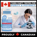 Berberine Supplement HCL 1000mg (2 x 500mg Vegan Capsules) | High Potency Berberine Supports Glucose, Fat Metabolism & Heart Health | Third Party Tested for Potency & Purity | Canadian Made, Quality Assured 🍁 All In One Marketplace Canada