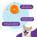 Outward Hound Snoop Dog Toy – Treat‑Dispenser Puzzle Ball, Interactive Slow Feeder, Medium to Large Dogs, Bouncy & Mint-Infused, Orange, 5" 🍁 All In One Marketplace Canada