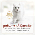 Fancy Feast Wet Cat Food, Pate Beef Flavour - 85 g Can (24 Pack) 🍁 All In One Marketplace Canada