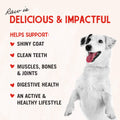 Stella & Chewy's Freeze-Dried Raw Single Ingredient Lamb Heart Treats, 85g Bag 🍁 All In One Marketplace Canada