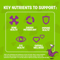 FLINTSTONES Complete Kids Multivitamin Gummies - Multivitamins for Kids, Kids Multivitamin Gummy Helps Maintain Good Health, Free of Artificial Sweeteners, Free of Aspartame, Free of Synthetic FD&C Dyes, 180 Gummies 🍁 All In One Marketplace Canada