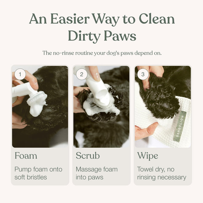 Dandylion Dog Paw Cleaner, Clean Paws, Dog Paw Washer, No Rinse Foam Cleaner for Dogs, Fragrance Free pH Balanced Foaming Washer with Silicone Brush, Pet Cleaning Supplies, 5 fl oz 🍁 All In One Marketplace Canada