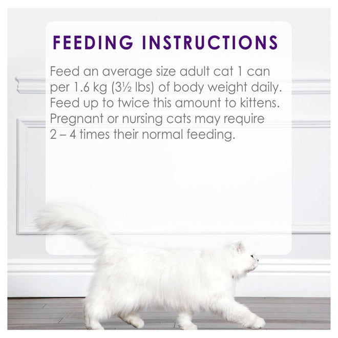Fancy Feast Chunky Wet Cat Food, Chicken Feast - 85 g Can (24 Pack) 🍁 All In One Marketplace Canada