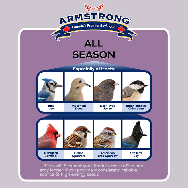 Armstrong All Season Blend, Premium Wild Bird Seed Mix, 4KG (8.8LB) Bag 🍁 All In One Marketplace Canada