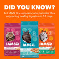 IAMS Proactive Health Adult Dry Cat Food, Salmon Flavour, 3.18kg 🍁 All In One Marketplace Canada