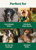 Earth Rated (A Canadian Company) Pet Wipes for Dogs and Cats, Hypoallergenic, 3-in-1 Cleaning, Deodorizing and Hydrating, for Grooming Paws, Body and Butt, New White Tea and Basil Scent, 400 Count 🍁 All In One Marketplace Canada