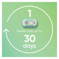 Venus Smooth Women’s Razor Blades, 3-Bladed Razor Refills, 1 Pack (Count of 8) 🍁 All In One Marketplace Canada