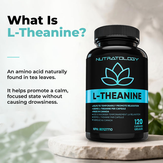 Nutratology® L-Theanine 250MG Capsules | Canadian-Made | For Stress Management | Promotes Relaxation & Calmness Without Drowsiness - L-Theanine Supplement for Stress Relief | 120 Capsules 🍁 All In One Marketplace Canada