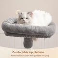 Heybly Cat Tree with Toy, Cat Tower condo for Indoor Cats, Cat House with Padded Plush Perch, Cozy Hammock and Sisal Scratching Posts, Light Gray S HCT004SW 🍁 All In One Marketplace Canada
