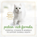Fancy Feast Gravy Lovers Wet Cat Food, Salmon Feast in Gravy 85g (24 Pack) 🍁 All In One Marketplace Canada