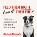 Stella & Chewy's Freeze-Dried Raw Single Ingredient Lamb Heart Treats, 85g Bag 🍁 All In One Marketplace Canada