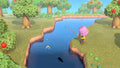Animal Crossing: New Horizons (CAN Version) 🍁 All In One Marketplace Canada